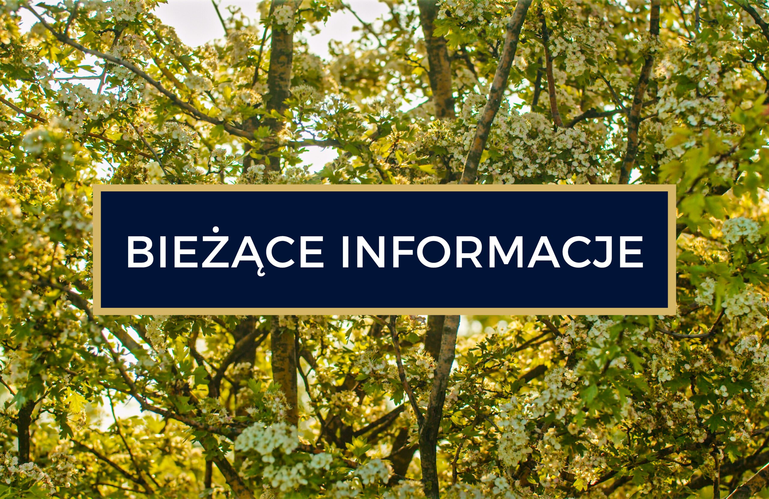 Sprawy bieżące Karolinka